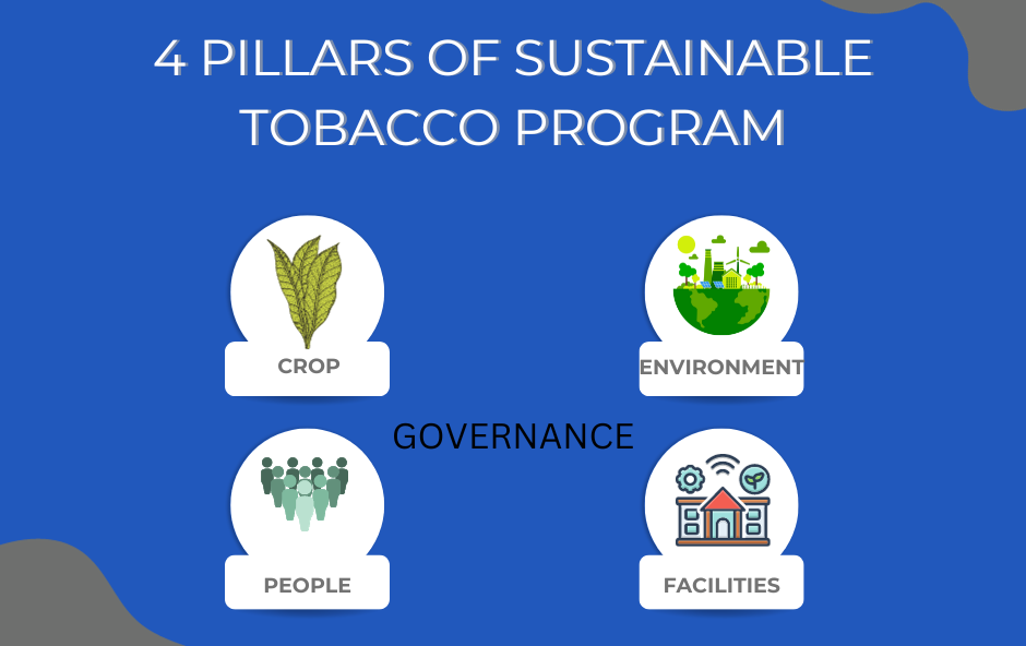 sustainable-tobacco-program